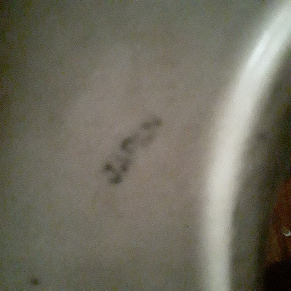 Intahe Ceramic Pencil holder or flower plant - Picture 2 of 4